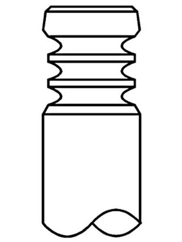 Outlet valve mahle fits - outlet,