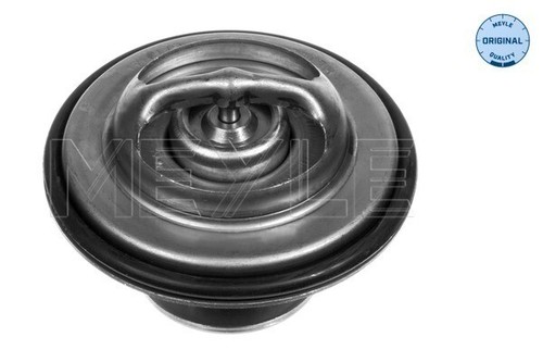 New thermostat coolant - new, thermostat,
