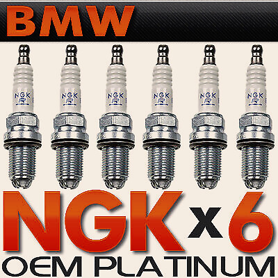 Set ngk double platinum - 6,