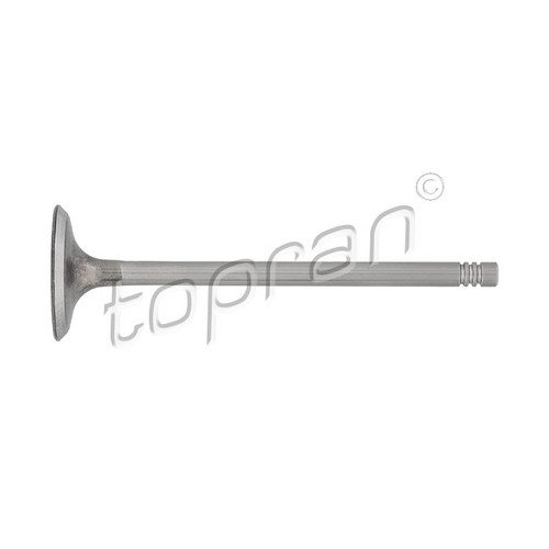 Intake valve for bmw - valve, series