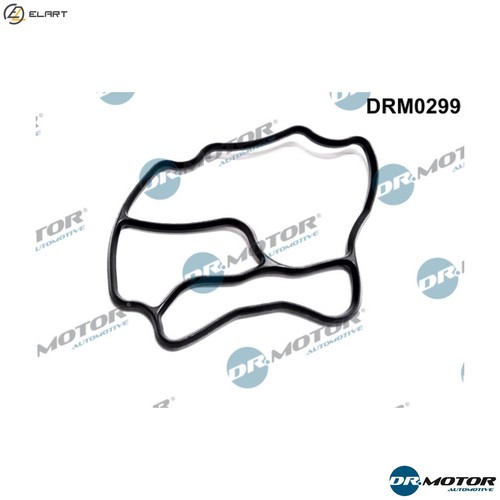 Gasket oil filter - gasket, housing